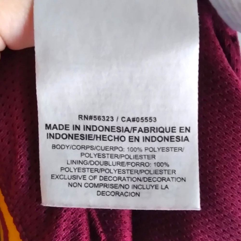 Nike University of Minnesota DriFit shorts, size Large - Picture 6 of 8